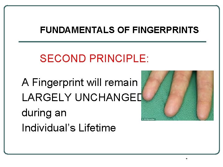 FUNDAMENTALS OF FINGERPRINTS SECOND PRINCIPLE: A Fingerprint will remain LARGELY UNCHANGED during an Individual’s