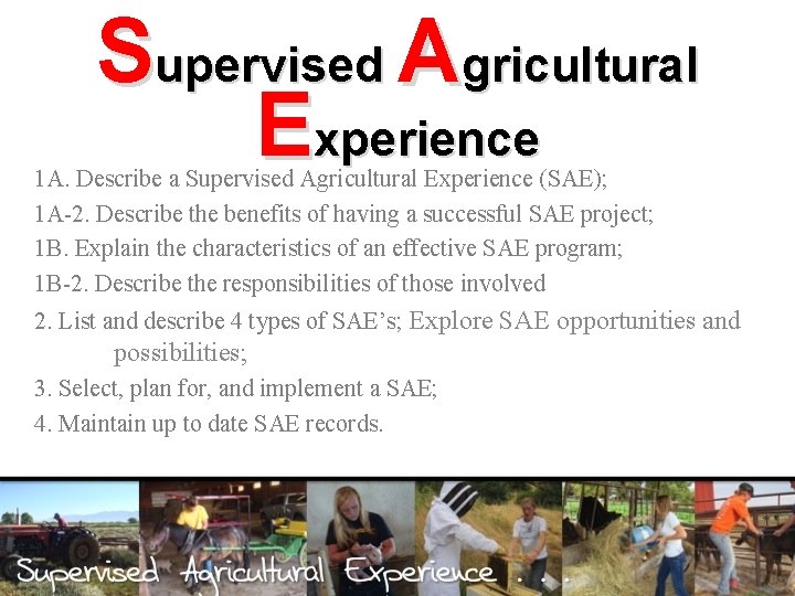 Supervised Agricultural Experience 1 A. Describe a Supervised Agricultural Experience (SAE); 1 A-2. Describe