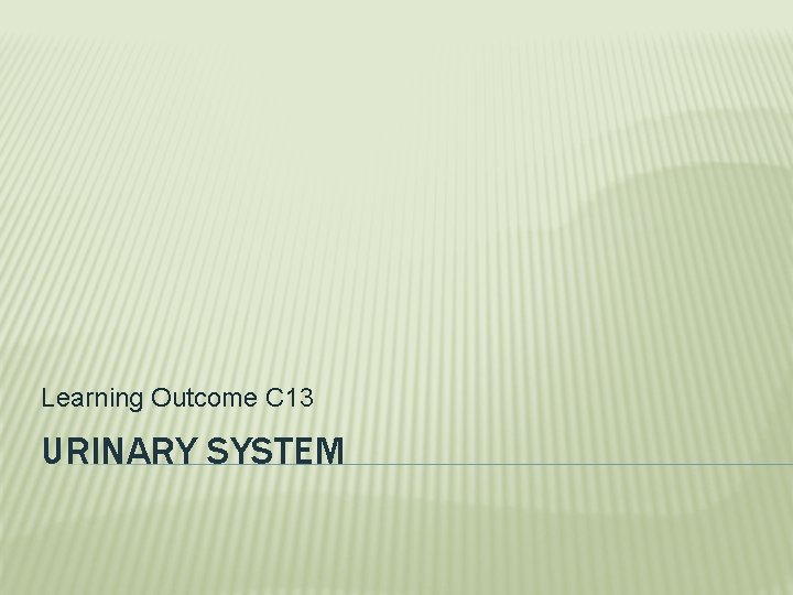 Learning Outcome C 13 URINARY SYSTEM 