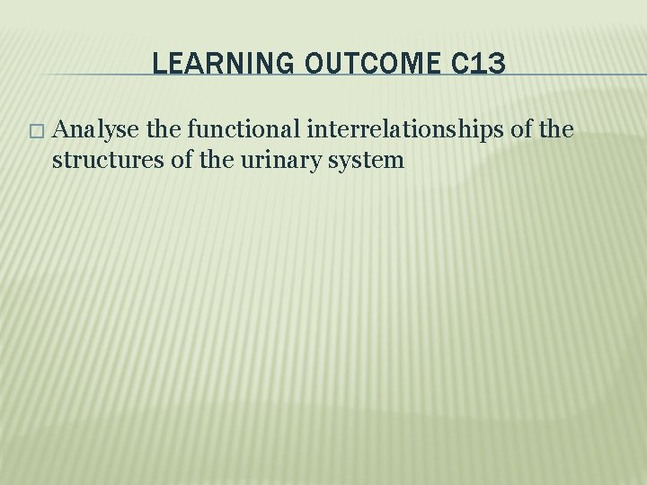 LEARNING OUTCOME C 13 � Analyse the functional interrelationships of the structures of the