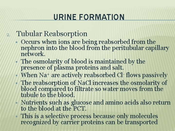 URINE FORMATION 2. Tubular Reabsorption Occurs when ions are being reabsorbed from the nephron