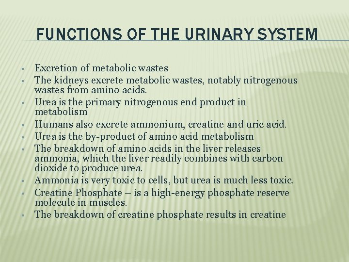 FUNCTIONS OF THE URINARY SYSTEM Excretion of metabolic wastes The kidneys excrete metabolic wastes,