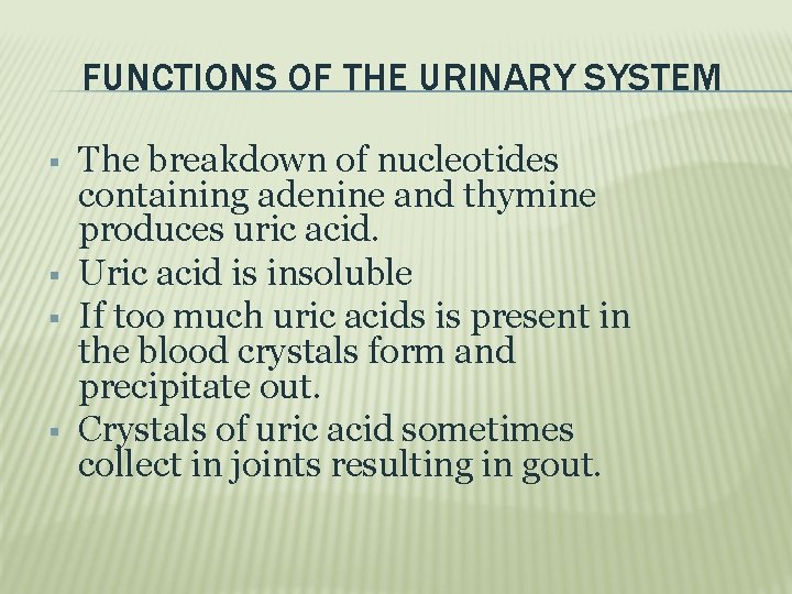 FUNCTIONS OF THE URINARY SYSTEM The breakdown of nucleotides containing adenine and thymine produces