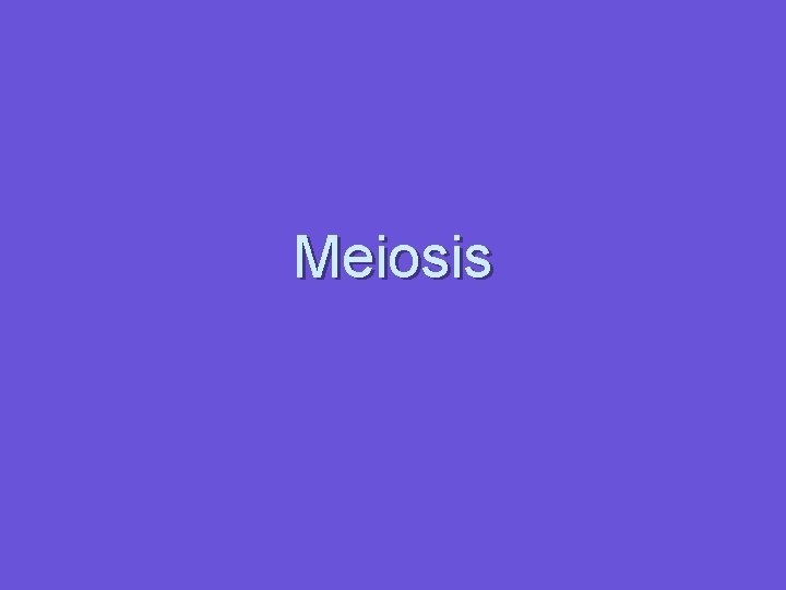 Meiosis 