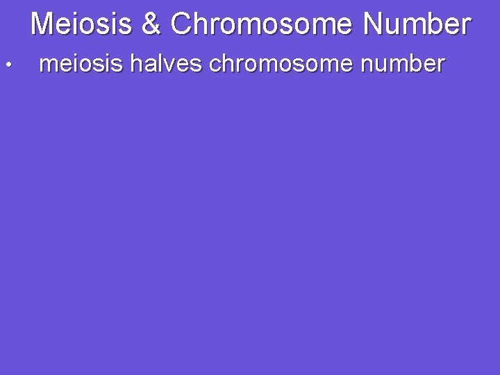 Meiosis & Chromosome Number • meiosis halves chromosome number 
