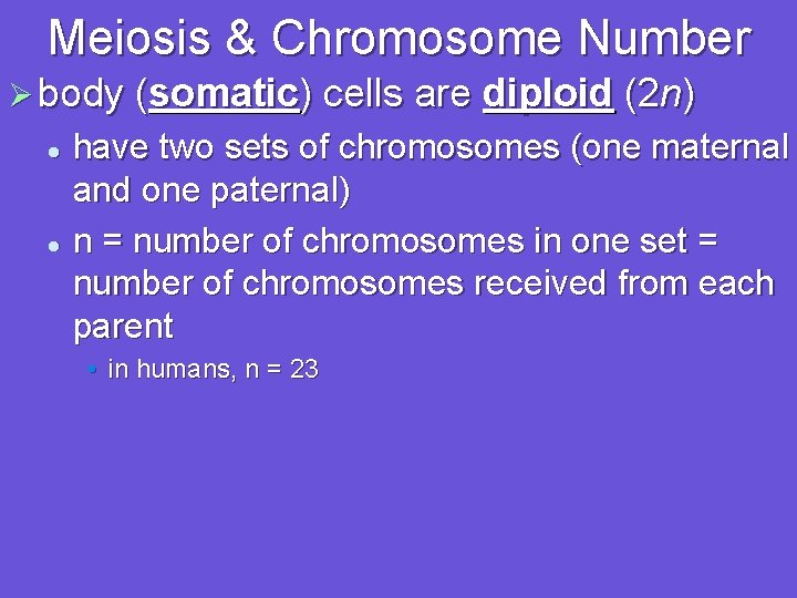 Meiosis & Chromosome Number Ø body (somatic) cells are diploid (2 n) have two