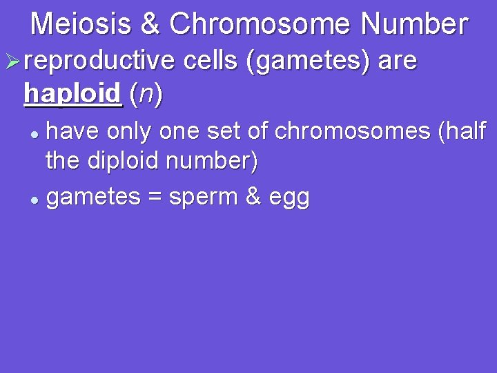 Meiosis & Chromosome Number Ø reproductive cells (gametes) are haploid (n) have only one