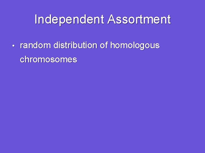 Independent Assortment • random distribution of homologous chromosomes 