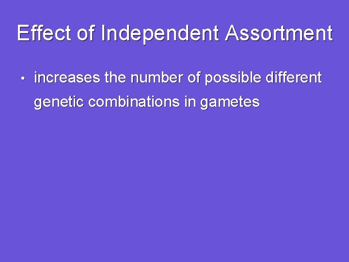 Effect of Independent Assortment • increases the number of possible different genetic combinations in