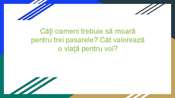 Câţi oameni trebuie să moară pentru trei pasarele? Cât valorează o viaţă pentru voi?