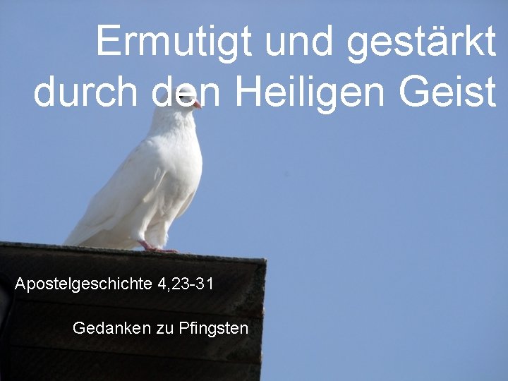 Ermutigt und gestärkt durch den Heiligen Geist Apostelgeschichte 4, 23 -31 Gedanken zu Pfingsten Ermutigt und gestärkt durch den Heiligen Geist Apostelgeschichte 4, 23 -31 Gedanken zu Pfingsten