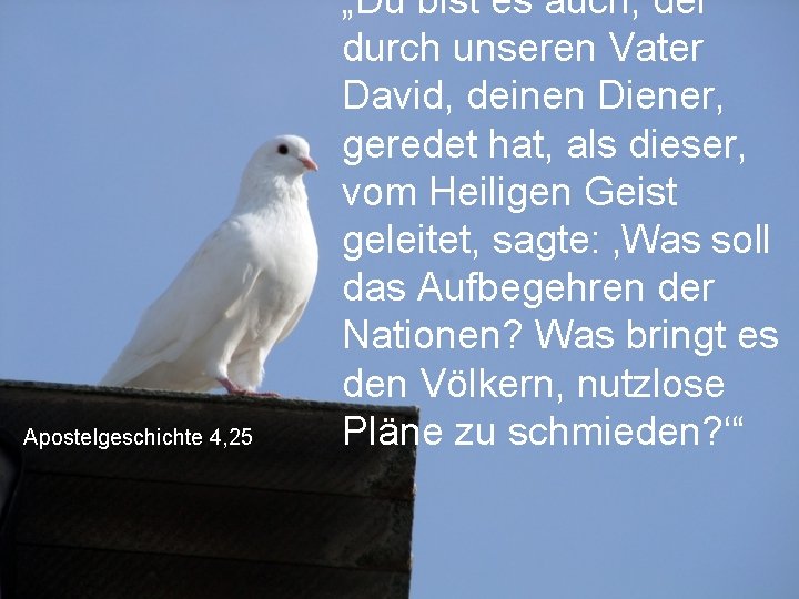 Apostelgeschichte 4, 25 „Du bist es auch, der durch unseren Vater David, deinen Diener,