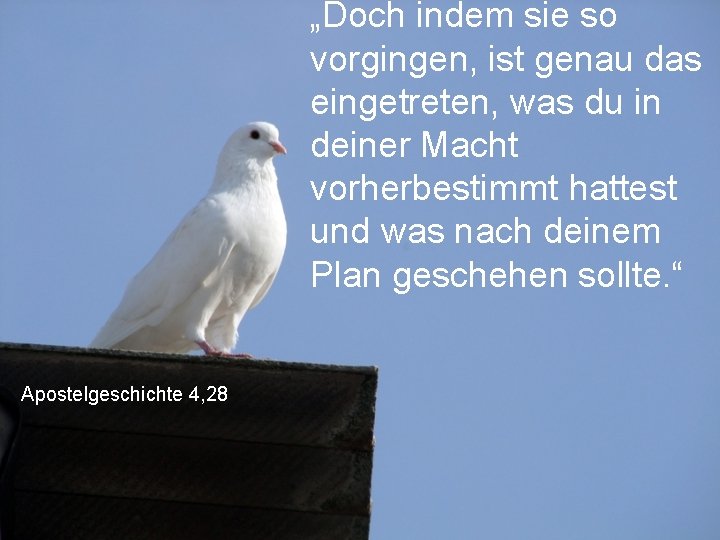 „Doch indem sie so vorgingen, ist genau das eingetreten, was du in deiner Macht „Doch indem sie so vorgingen, ist genau das eingetreten, was du in deiner Macht