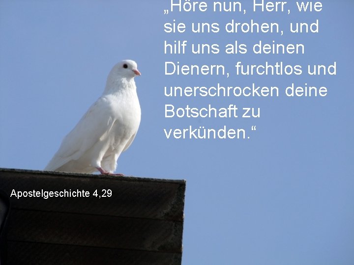 „Höre nun, Herr, wie sie uns drohen, und hilf uns als deinen Dienern, furchtlos „Höre nun, Herr, wie sie uns drohen, und hilf uns als deinen Dienern, furchtlos