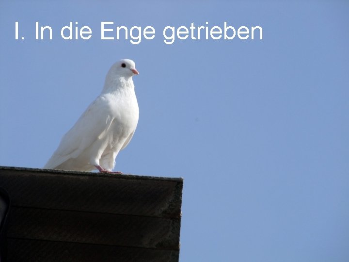I. In die Enge getrieben I. In die Enge getrieben