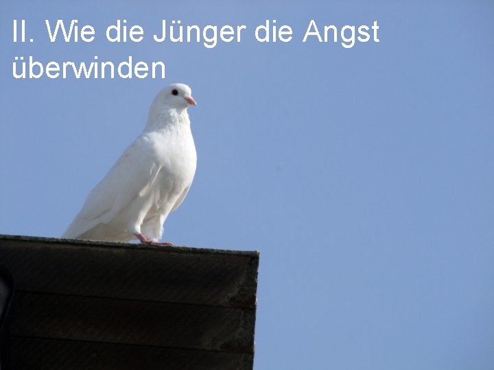 II. Wie die Jünger die Angst überwinden II. Wie die Jünger die Angst überwinden