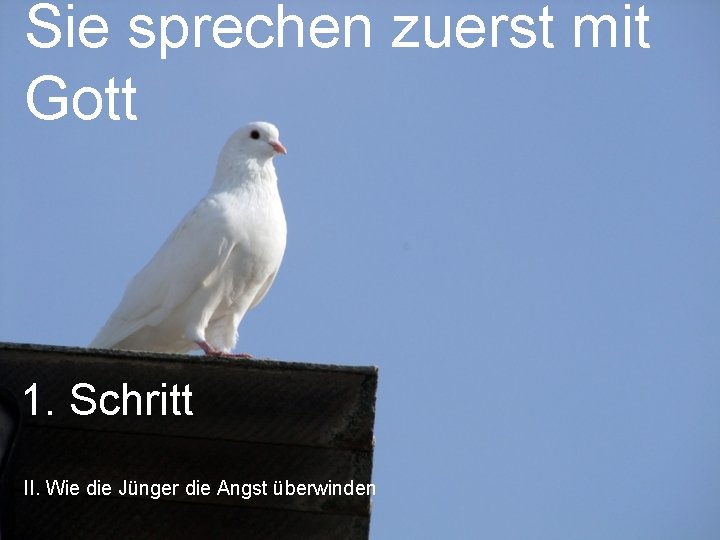 Sie sprechen zuerst mit Gott 1. Schritt II. Wie die Jünger die Angst überwinden