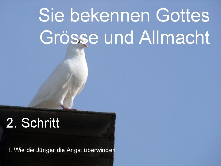 Sie bekennen Gottes Grösse und Allmacht 2. Schritt II. Wie die Jünger die Angst