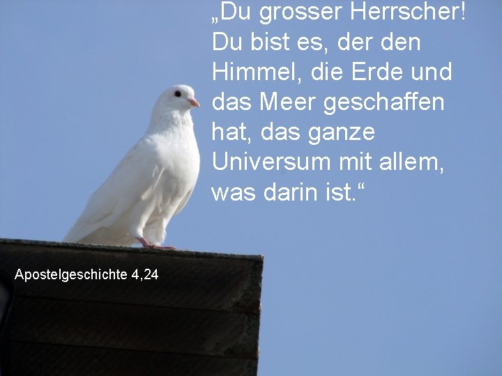 „Du grosser Herrscher! Du bist es, der den Himmel, die Erde und das Meer