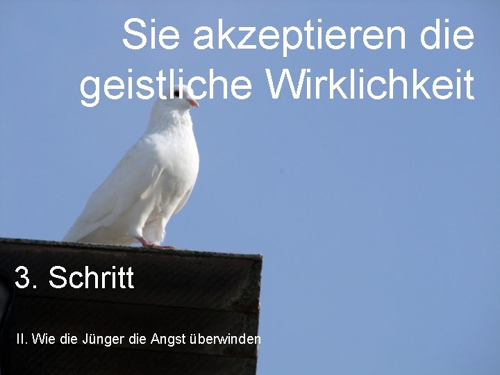 Sie akzeptieren die geistliche Wirklichkeit 3. Schritt II. Wie die Jünger die Angst überwinden Sie akzeptieren die geistliche Wirklichkeit 3. Schritt II. Wie die Jünger die Angst überwinden