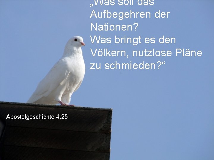 „Was soll das Aufbegehren der Nationen? Was bringt es den Völkern, nutzlose Pläne zu „Was soll das Aufbegehren der Nationen? Was bringt es den Völkern, nutzlose Pläne zu