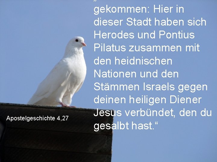 Apostelgeschichte 4, 27 gekommen: Hier in dieser Stadt haben sich Herodes und Pontius Pilatus