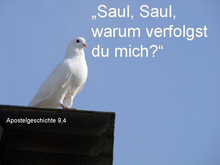 „Saul, warum verfolgst du mich? “ Apostelgeschichte 9, 4 