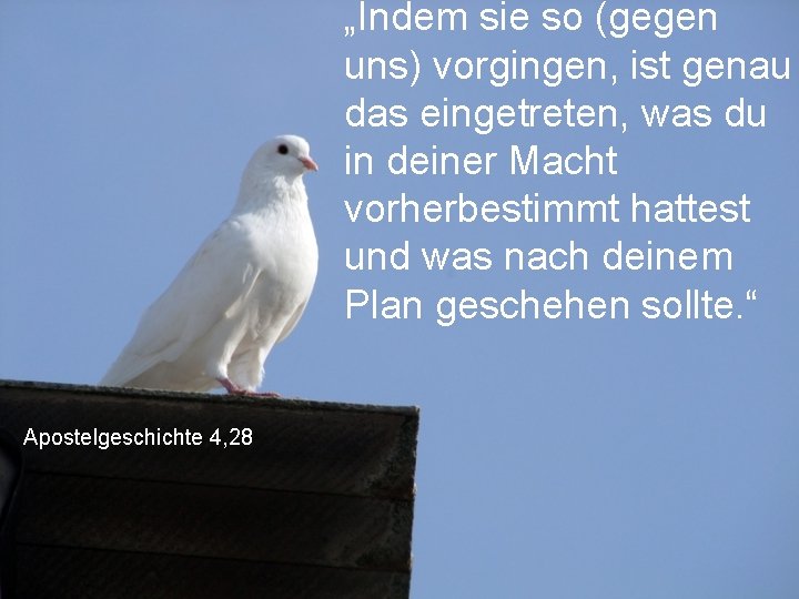 „Indem sie so (gegen uns) vorgingen, ist genau das eingetreten, was du in deiner „Indem sie so (gegen uns) vorgingen, ist genau das eingetreten, was du in deiner