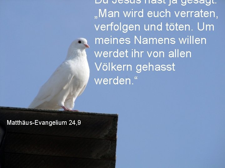 Du Jesus hast ja gesagt: „Man wird euch verraten, verfolgen und töten. Um meines