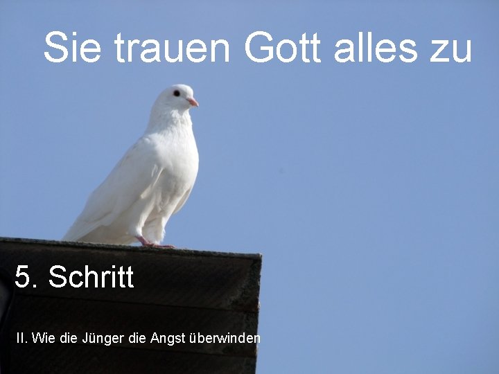 Sie trauen Gott alles zu 5. Schritt II. Wie die Jünger die Angst überwinden