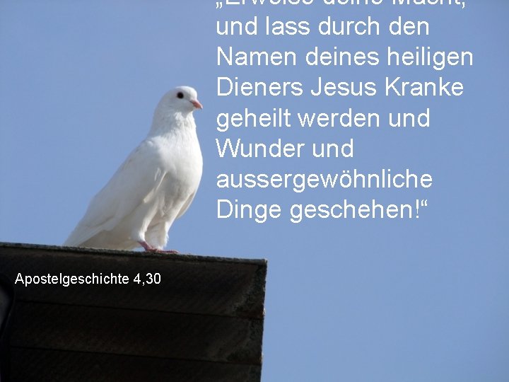 „Erweise deine Macht, und lass durch den Namen deines heiligen Dieners Jesus Kranke geheilt