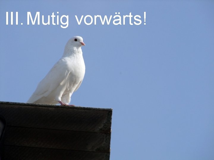 III. Mutig vorwärts! III. Mutig vorwärts!