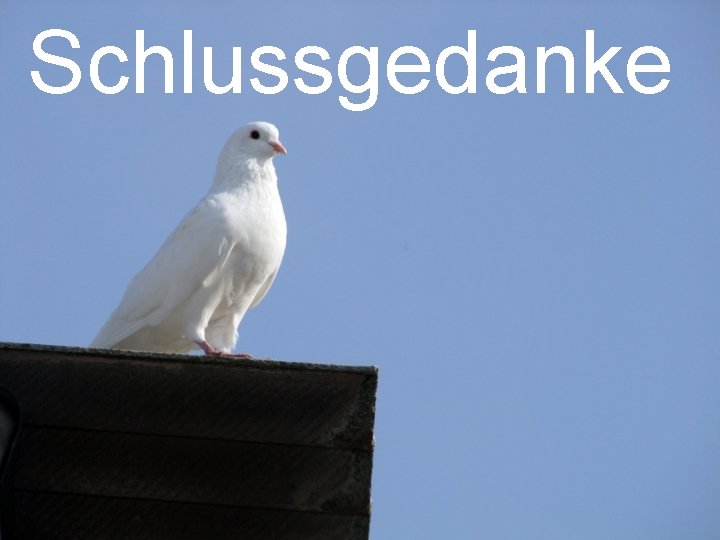 Schlussgedanke 