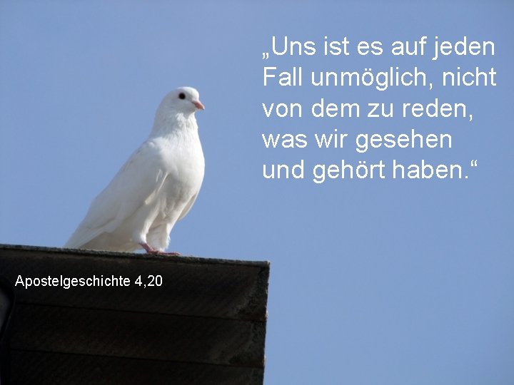 „Uns ist es auf jeden Fall unmöglich, nicht von dem zu reden, was wir