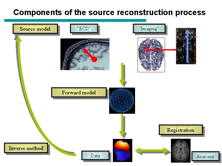 Components of the source reconstruction process Source model ‘ECD’ ‘Imaging’ Forward model Registration Inverse Components of the source reconstruction process Source model ‘ECD’ ‘Imaging’ Forward model Registration Inverse