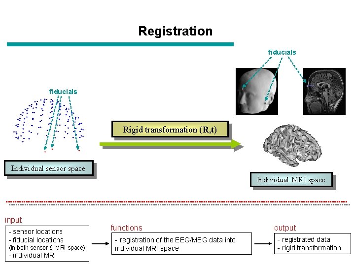 Registration fiducials Rigid transformation (R, t) Individual sensor space Individual MRI space input - Registration fiducials Rigid transformation (R, t) Individual sensor space Individual MRI space input -