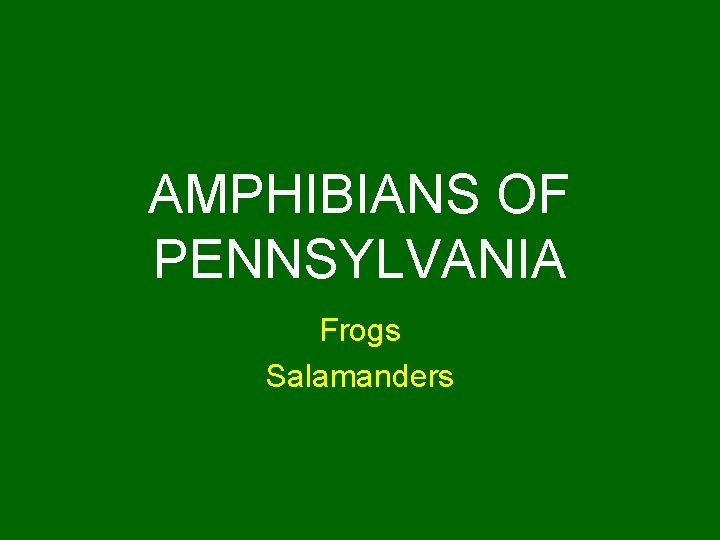 AMPHIBIANS OF PENNSYLVANIA Frogs Salamanders 
