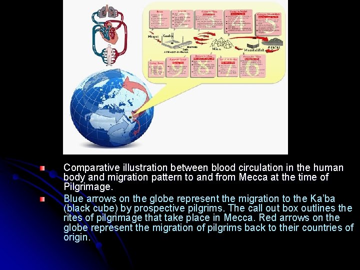 Comparative illustration between blood circulation in the human body and migration pattern to and