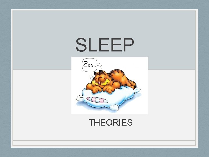 SLEEP THEORIES 