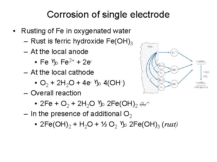 Corrosion of single electrode • Rusting of Fe in oxygenated water – Rust is