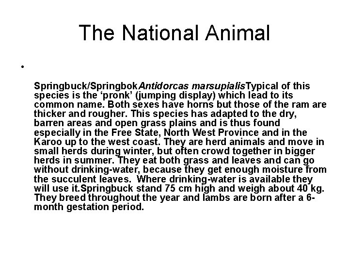 The National Animal • Springbuck/Springbok. Antidorcas marsupialis. Typical of this species is the ‘pronk’