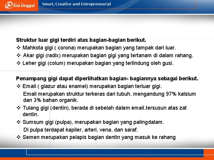 Struktur luar gigi terdiri atas bagian-bagian berikut. v Mahkota gigi ( corona) merupakan bagian