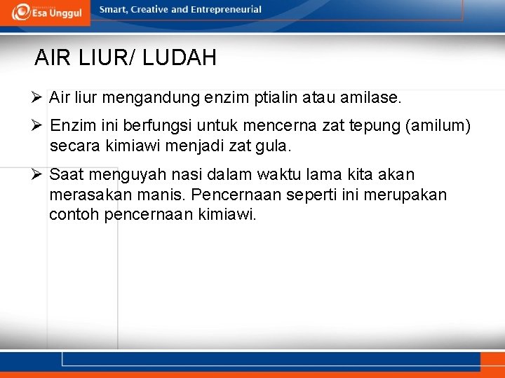 AIR LIUR/ LUDAH Ø Air liur mengandung enzim ptialin atau amilase. Ø Enzim ini