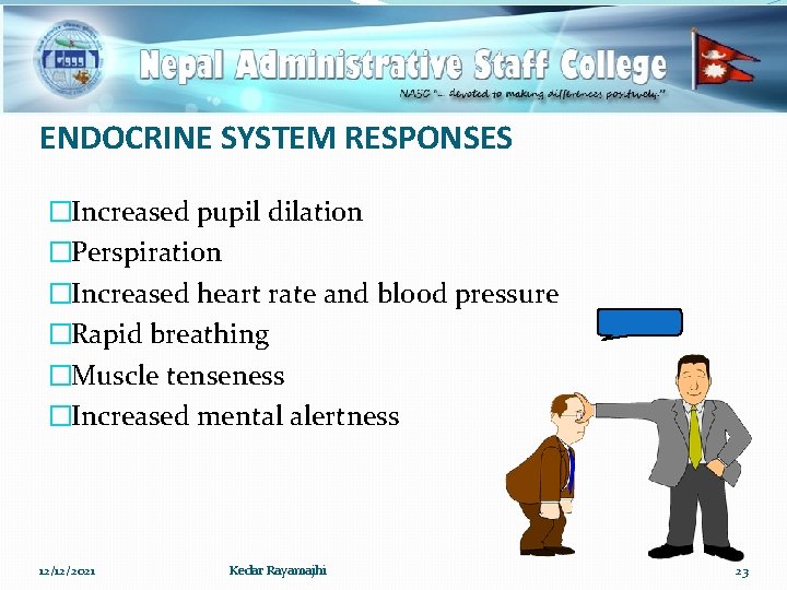 ENDOCRINE SYSTEM RESPONSES �Increased pupil dilation �Perspiration �Increased heart rate and blood pressure �Rapid