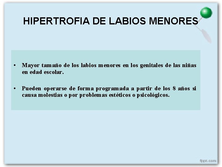 HIPERTROFIA DE LABIOS MENORES • Mayor tamaño de los labios menores en los genitales