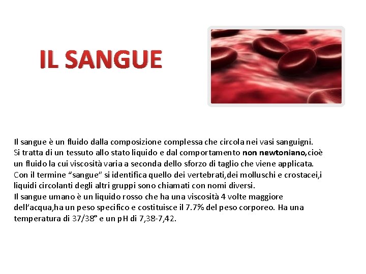 IL SANGUE Il sangue è un fluido dalla composizione complessa che circola nei vasi