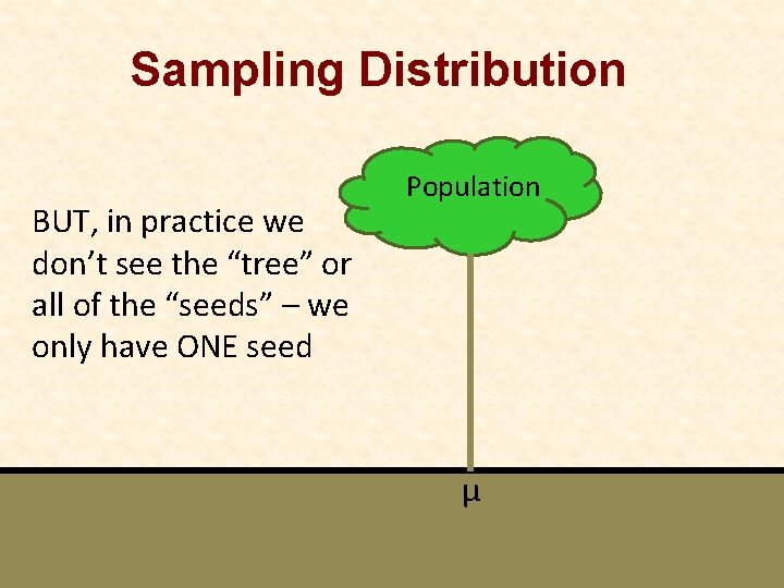 Sampling Distribution BUT, in practice we don’t see the “tree” or all of the