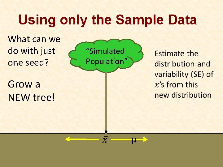Using only the Sample Data What can we do with just one seed? “Simulated