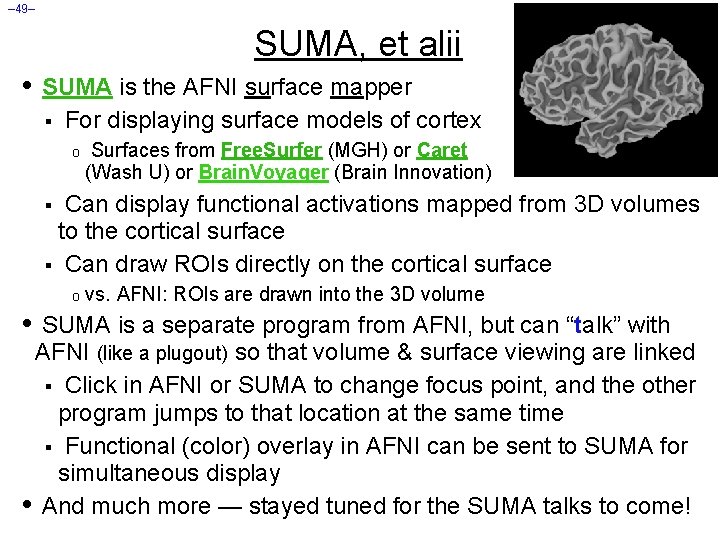 – 49– SUMA, et alii • SUMA is the AFNI surface mapper § For