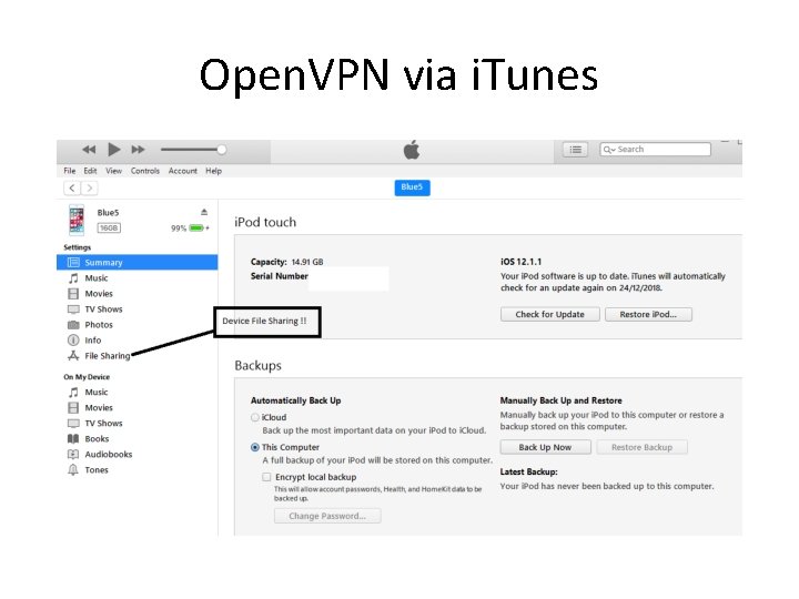 Open. VPN via i. Tunes 